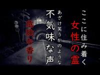 【心霊】地縛霊なのか？確実にいる女性の霊‼️