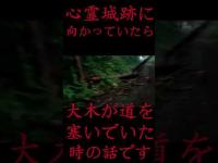 #Shorts 心霊城跡に向かっていたら大木が道を塞いでいた時の話です