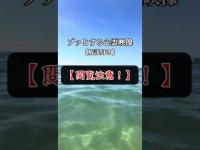 和歌山の白良浜で撮れた心霊映像が思わぬ反響をいただいたので解説付きでアップします