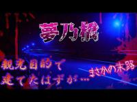 【心霊】岩手 最恐 心霊スポット　夢乃橋　青いライトに照らされた橋を渡る…