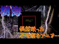【心霊】稲川淳二さんの怪談で有名な青木ヶ原樹海　心霊ロケをしていたら不可解なナニカが映った…