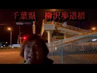 千葉県 柳沢歩道橋