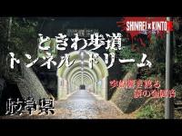 【岐阜県】ときわ歩道トンネル ドリーム【心霊×筋トレ】
