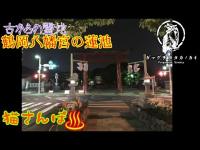 【心霊スポット】鶴岡八幡宮の蓮池_19429