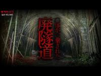 【心霊】◯体が発見された廃鉄道トンネルで起きた現象//神奈川県マイナースポット