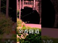 辛香隧道#心霊スポット #心霊探訪 #心霊ユーチューバー #都市伝説 #有名 #噂  #岡山県 #スピリット調査隊　#トンネル  #恐怖 #心霊調査#怖い話