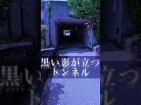 黒い影が立つトンネル#心霊スポット #心霊探訪 #心霊ユーチューバー #都市伝説 #有名 #噂  #岡山県 #スピリット調査隊　#トンネル    #恐怖 #心霊調査#怖い話