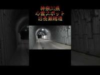 神奈川県心霊スポット『旧長瀬隧道』 #オカルト #心霊 #心霊スポット