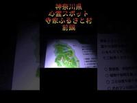 神奈川県心霊スポット『寺家ふるさと村』前編 #オカルト #恐怖 #ホラー #心霊スポット