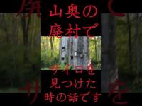 #Shorts 山奥の廃村でサイロを見つけた時の話です