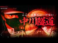 【心霊】このトンネル怖すぎる…終始現象が止まらない//神奈川県マイナースポット