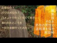 心霊なの？パワスポなの？コメントで行って見てくださいと言われたところを一日で全部行ってみた☆編集版その８男性の男性の道祖尊を探せ鞍掛峠