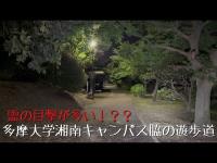 神奈川県 多摩大学湘南キャンパス脇の遊歩道