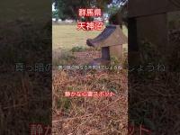 夕暮れ直前の天神沼、静かすぎる
