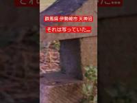 【再編集・群馬県 伊勢崎市】天神沼 見つけた1枚の写真…#shorts