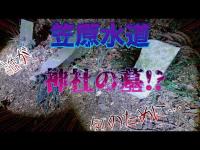 【心霊】笠原水道　誰が何のためにこんなことを！？不気味すぎる神社の墓に一同鳥肌が立った…