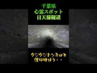 千葉県心霊スポット『日天様隧道』 #心霊スポット #オカルト