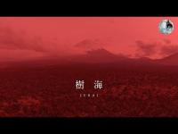［心霊動画］樹海 -JUKAI-