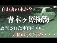 【心霊】特別編　青木ヶ原樹海