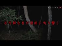 【心霊】夜の青木ヶ原樹海で捉えた何か…｜貧乏中年TV切り抜き｜Japanese Horro｜＃心霊＃貧乏中年TV