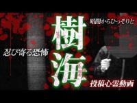 【心霊映像】樹海の暗闇からひっそりと忍び寄る恐怖