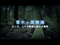 世界７大心霊スポット「青木ヶ原樹海」。静寂の森の中で遭遇したのは、人か人あらざるものか。 #心霊 #心霊スポット