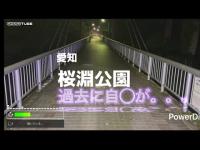 心霊散歩　愛知　桜淵公園　過去に自◯が複数回あった場所