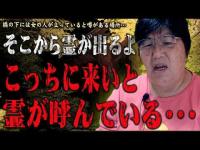 【心霊】霊達が出るのはここから･･･噂の霊がでる場所が霊視で判明！ 心霊スポット 遠隔霊視 群馬県 めがね橋(碓氷第三橋梁)