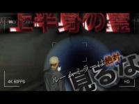 【心霊】ルームミラーを確認すると謎の上半身が追いかけてくる！？『清水トンネル』