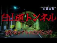 【白山道トンネル】まだ見ぬ心霊を求めて#154【心霊巡業】