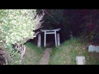 【LIVE】心霊生配信リアル肝試し・神奈川県茅ヶ崎市心霊スポット【市民の森八王子神社】