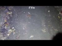 20190925　ニコ生心霊観光外配信　谷戸山公園