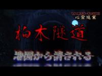 【柏木隧道】まだ見ぬ心霊を求めて#169【心霊巡業】