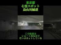 東京都心霊スポット『烏山川緑道』 #心霊スポット
