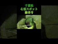 千葉県心霊スポット『龍善寺』 #オカルト #恐怖 #心霊スポット #廃墟  #心霊