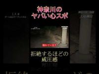 神奈川のヤバい心スポ 大庭神社 #shorts