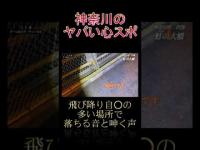 神奈川のヤバい心スポ 虹の大橋 #shorts