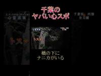 千葉のヤバい心スポ 弁天橋 #shorts #心霊 #怪奇現象