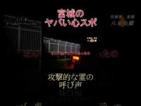 宮城のヤバい心スポ 八木山橋 #shorts