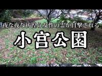 #心霊スポット #オカルト #ホラー 【心霊スポット】夜な夜な彷徨う女性の霊が目撃される 小宮公園