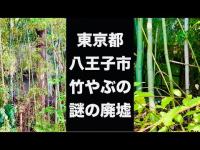 【謎の廃墟】「竹やぶの中の廃墟」(東京都八王子市片倉町)【心霊スポット?】【詳細不明、2010～2014年には入口あり、奥には古い小屋・井戸のようなものが存在した。現在は入口は植物に囲まれほぼ消滅】