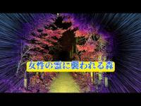 東京都心霊スポット『南町緑地』