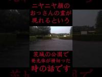 #Shorts ニヤニヤ顔のおっさんの霊が現れるという茨城の公園で発光体が横切った時の話です