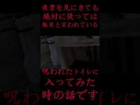 #Shorts 夜景を見にきても絶対に使っては駄目と言われている呪われたトイレに行ってみた時の話です
