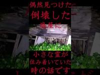 #Shorts 偶然見つけた倒壊した廃屋に小さな霊が住み着いていた時の話です