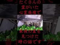 #Shorts たくさんの霊がいた心霊廃墟で最後の霊を見つけた時の話です