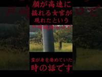 #Shorts 顔が高速に揺れる女官が現れたという戸崎城跡入口で霊が身を潜めていた時の話です