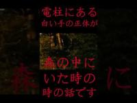 #Shorts 電柱にある白い手の正体が森の中にいた時の話です