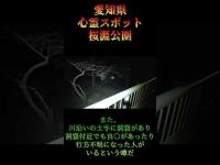 愛知県心霊スポット『桜淵公園』 #オカルト #恐怖 #心霊スポット