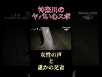 神奈川のヤバい心スポ 円海山 #shorts